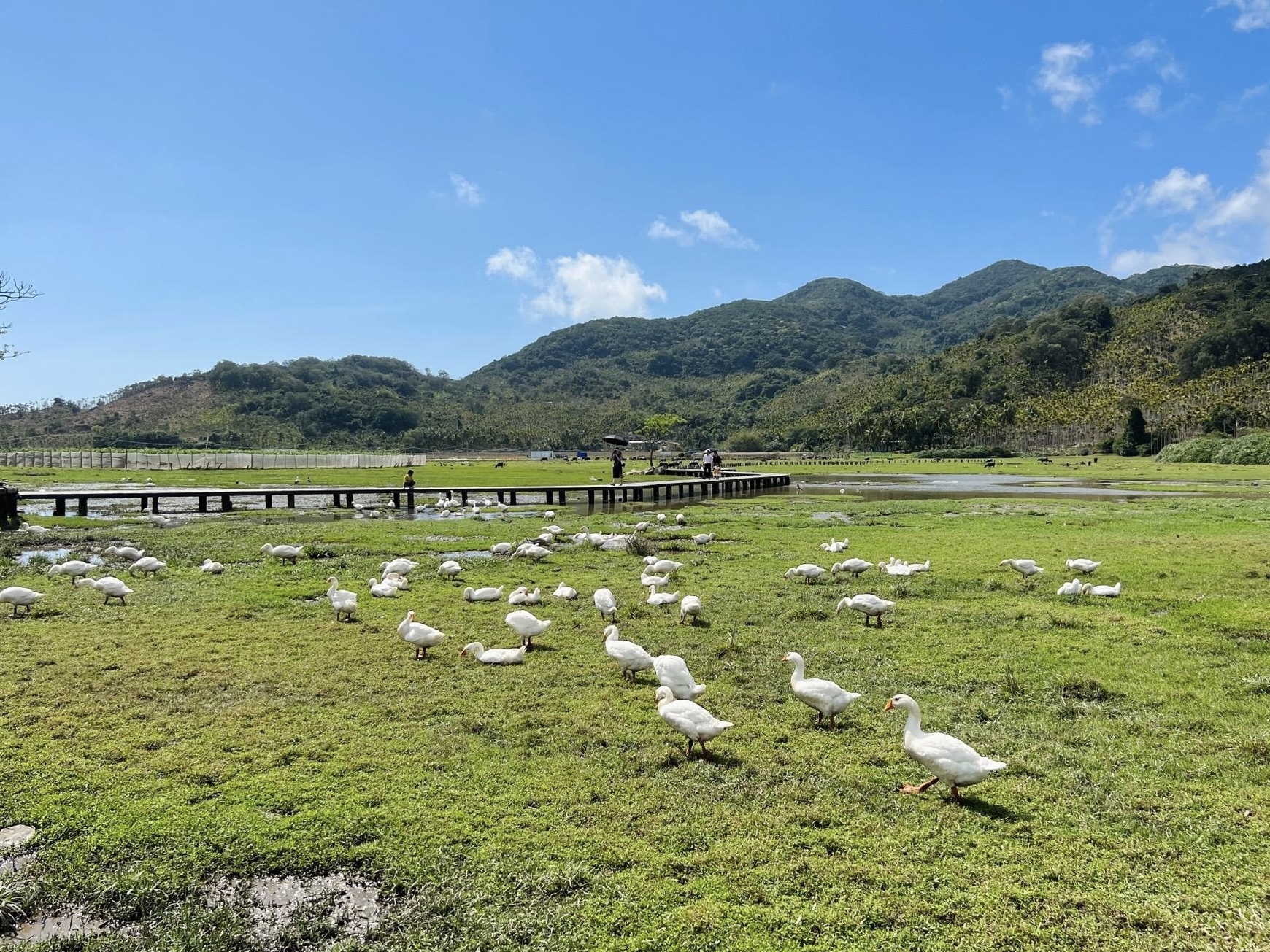 海南环岛5日私家团